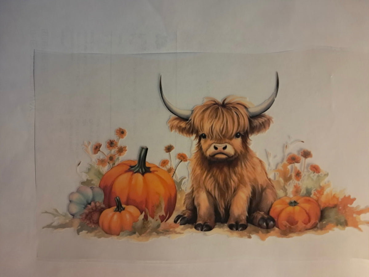 Highland cow transfer